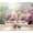 Color 4, variant on Wallpaper Dreamcatchers Feathers Beads Soft Brown Indian bohemian Peel and Stick Wall Murals 69"H x 96"W Removable PVC Wall Paper Self-Adhesive Wall Paintings Art Decor for Bedroom Living Room