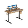 FENG20 Standing Desk, Adjustable Height Electric Sit Stand Up Down