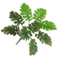 thumbnail image 5 of Wosthever Hojas de plantas artificiales, hoja de tela de seda, decoración de plantas para el hogar y la Oficina Plantas Artificiales, 5 of 5