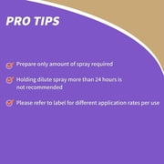 2 PACK Pyrethrin Concentrate Garden and Insect Spray, Bonide Products, 8 oz each