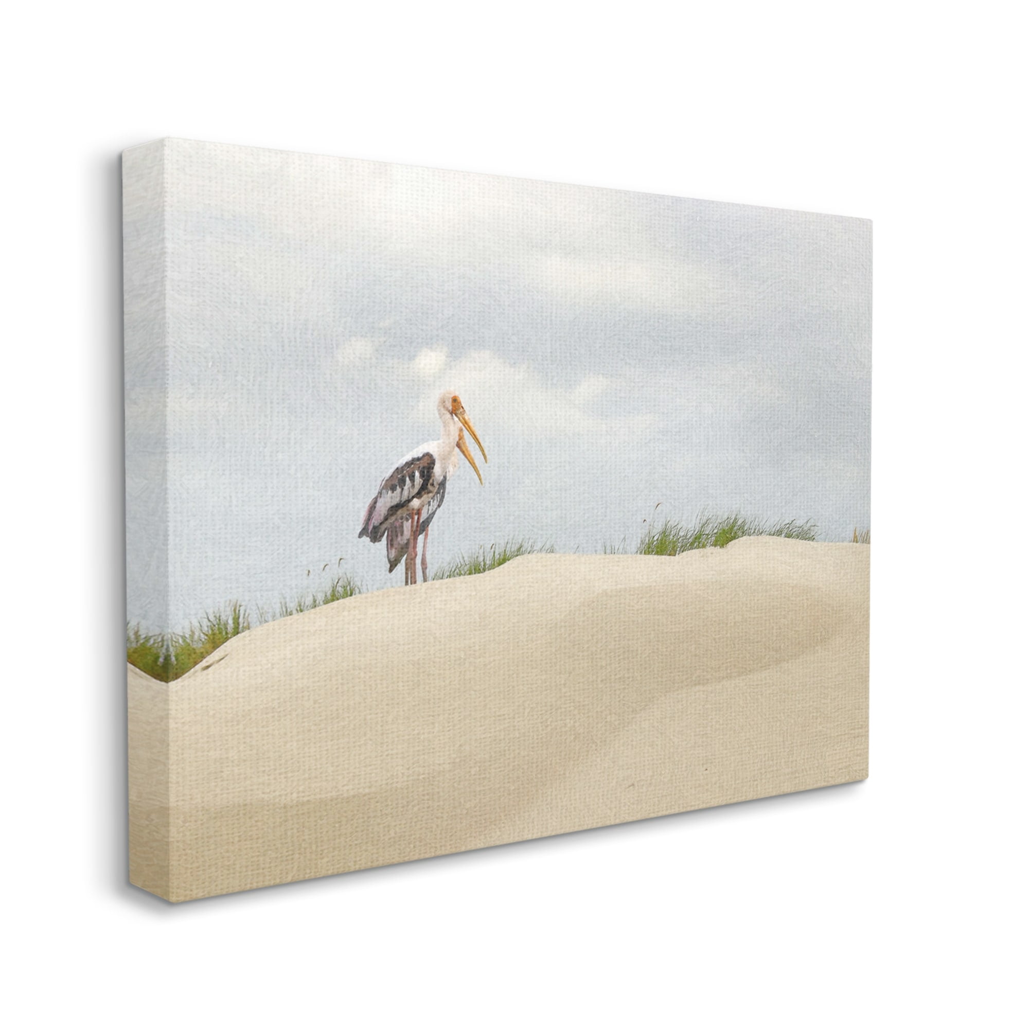 Stupell Pelican Duo Sandy Beach Dunes Landscape Painting Gallery Wrapped Canvas Print Wall Art