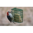 thumbnail image 4 of Golosina Bird Seet C&S Woodpecker, 311 g, 4 of 9