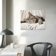thumbnail image 3 of Nawypu  Relaxed Pet Feline Cat Nap Green Eyes, Canvas Wall Art, 3 of 4