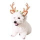 thumbnail image 1 of Disfraz de gato, aro de cabeza navideña, astas de reno navideñas, sombreros para perros y gatos con flores para gatos y perros pequeños, talla S, 1 of 7