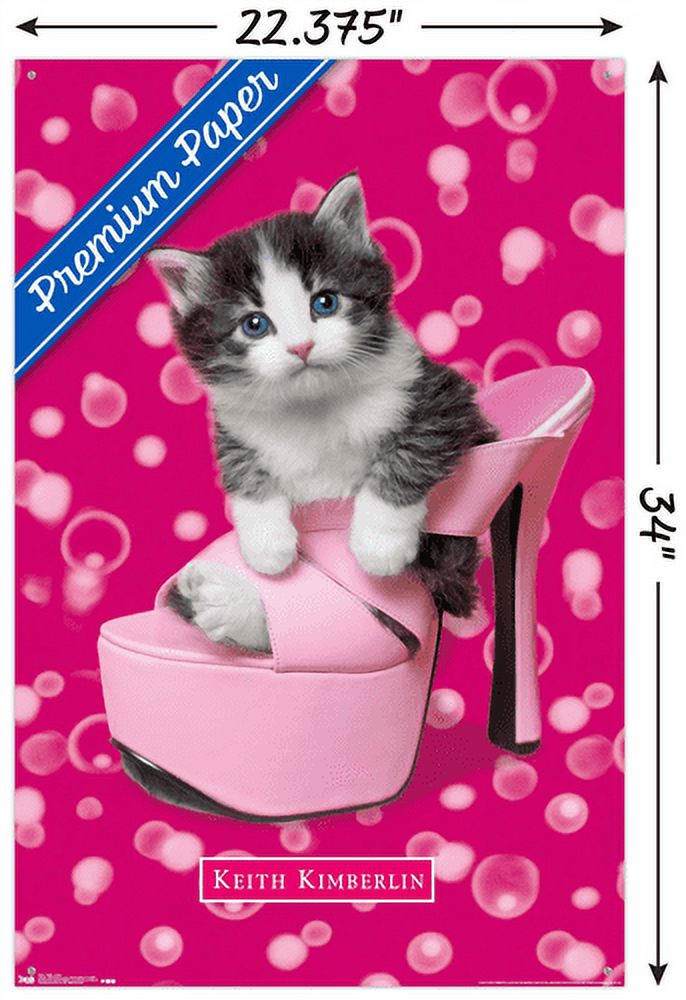 Keith Kimberlin - Kitten - Shoe Wall Poster with Push Pins, 22.375" x 34"