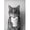 by-1, variant on Highland Cow Otter Cat Raccoon with Toilet Paper Poster Print Canvas Painting Bathroom Wall Art Funny Toilet Humor Home Decor. Size: 50*70 cm, unframed.