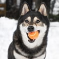 thumbnail image 3 of Pelotas de Tenis chirriantes Best Pet Supplies Alta Resistencia para Perros, 3 of 8