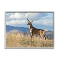 Stupell Industries White-Tail Buck in Wild Montana Mountains Blue Sky, 24 x 30, Designed by Larry McFerrin