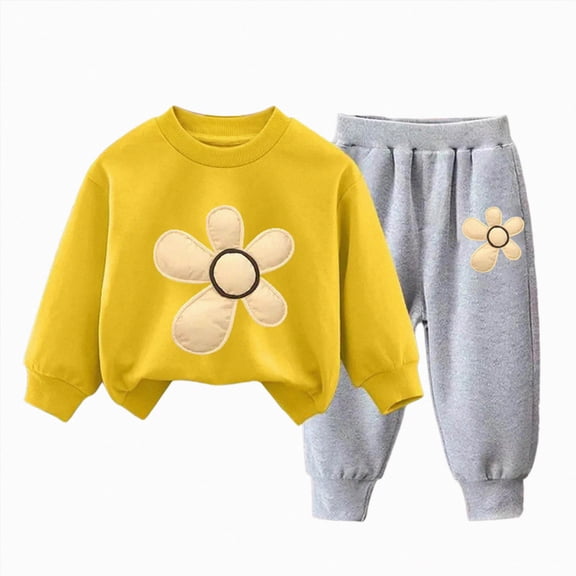 ZIXKCGDSE Girls 2 Piece Outfits Flower Print Crewneck Sweatshirt and Jogger Pants Casual Set Size 3-4 Years