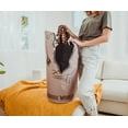 thumbnail image 5 of Jurassic World Open-Mouth T-Rex Laundry Clothes Hamper, 5 of 8