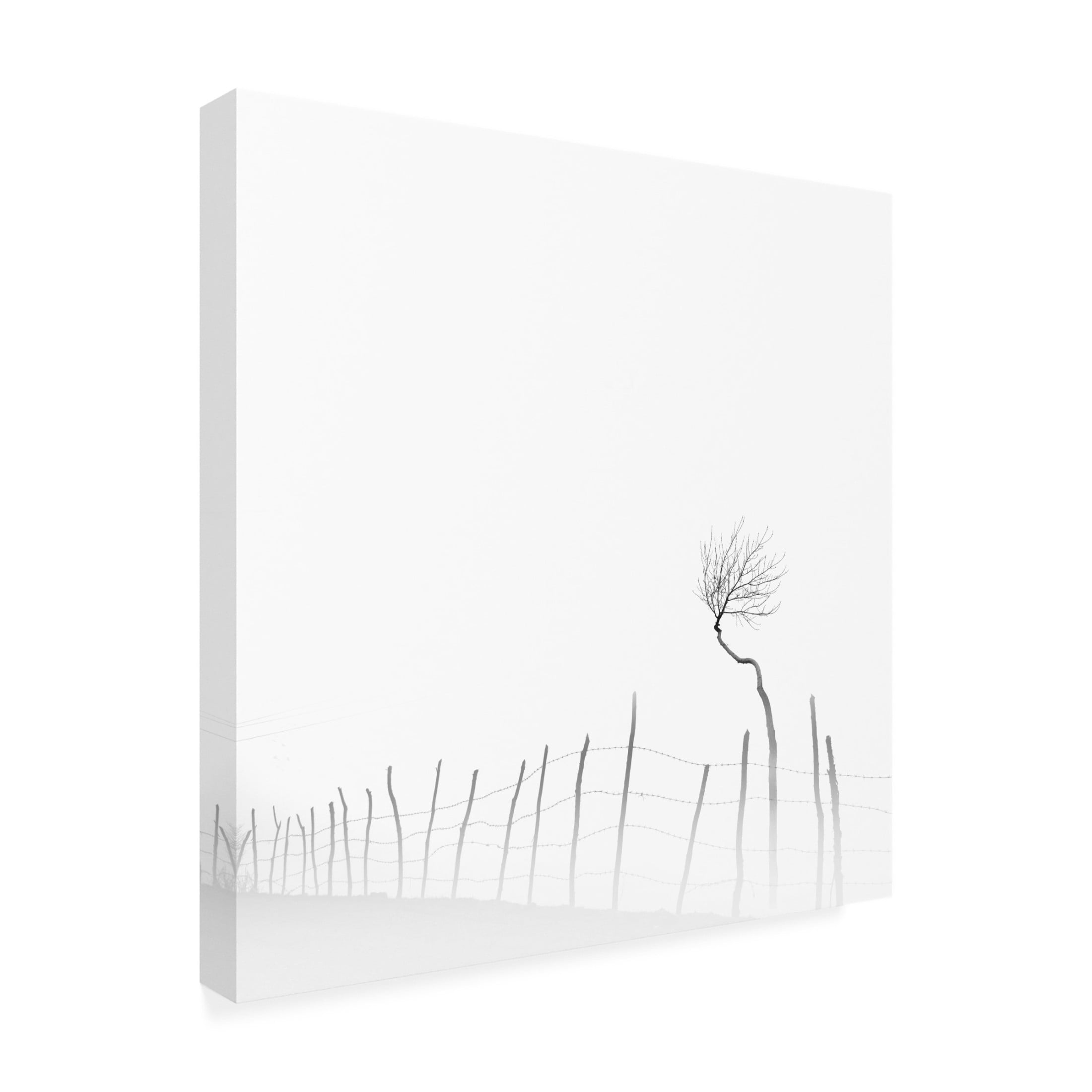 Trademark Fine Art MOSTAFA NODEH Silence Canvas Wall Art