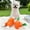 Chicken Leg + Carrot, variant on Cute Plush Squeaky Dog Toys Bone Chicken Carrot Shape Soft Chew Toys for Puppy Small Dogs