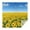 Blue Sky Sunflower, variant on Black White Stripe Sunflower Pattern Square Tablecloth,Waterproof Square Table Cover,Wipeable Spillproof Washable Table Cover for Home Kitchen Party Decor 42"X42"(107x107cm)