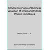 Concise Overview of Business Valuation of Small and Midsize Private Companies, Used [Paperback]