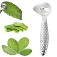 thumbnail image 7 of 2025 Stainless Steel Cactus Peeler Spoon - Heavy Duty Nopales Peeling Knife & Noodle Cutter - 7.28" Multi-Function Kitchen Tool with Hole for Easy Handling, 7 of 7