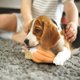 thumbnail image 4 of Bola lenta de la fuga de la comida del silicón de la categoría alimenticia de la bola del animal doméstico de los juguetes del gato y del perro, 4 of 4