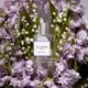 thumbnail image 5 of Perfume CLEAN CLASSIC Spring Breeze 60 ml, 5 of 5