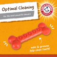 thumbnail image 4 of Arm & Hammer Durable Nylon Dental Chew Toy for Dogs, Peanut Butter Flavor, 4 of 10