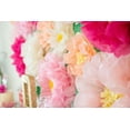 thumbnail image 5 of Originals Group Fiesta Tissue Paper Flowers - Party Decorations- 12 Pieces, 5 of 8