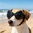 thumbnail image 5 of Goggles For Small Breed Wind/ Puppy With Adjustable Strap White Black Dog Swimsuit Dog Swimsuit Boy Dog Swim Suite Dog Jacket Dog Hiking Gear Water Bunny Hat for Cat And Owner Fan for Car Window for, 5 of 8