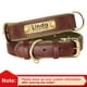 thumbnail image 1 of Customized Leather ID Nameplate Dog Collar Soft Padded Dogs Collars Free Engraving Name for Small Medium Large Dogs Adjustable qym unisex, 1 of 2
