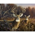 thumbnail image 2 of Goebel, Wilhelm 18x15 Gold Ornate Wood Framed with Double Matting Museum Art Print Titled - Deer, 2 of 4