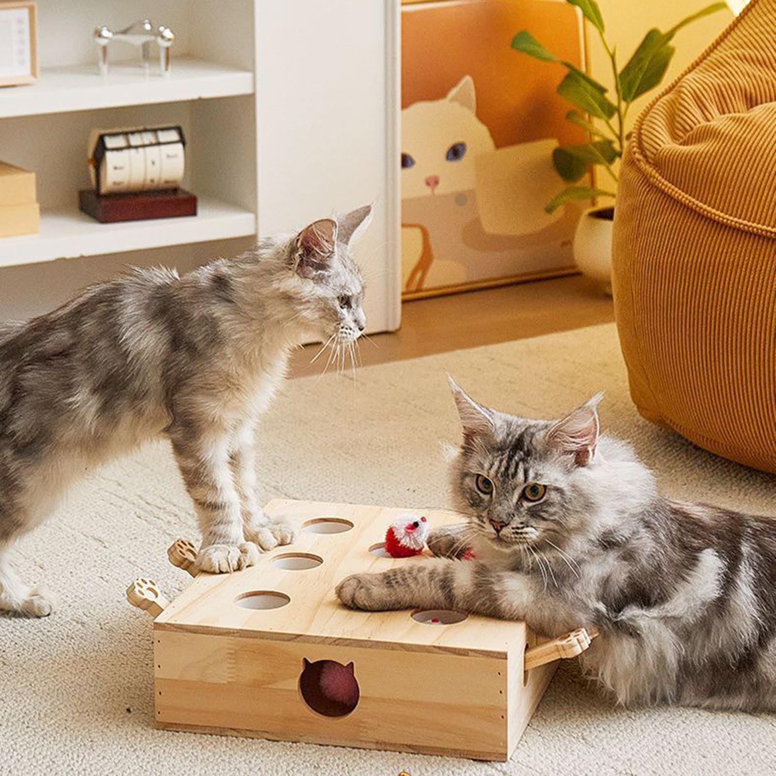 Cat Puzzle Toy Box - Solid Wood Whack-A-Mole Interactive Toy for Cats with Clicker Sound, Hide-and-Seek Design - Indoor Cats, Kittens for Boredom Relief, Mental Stimulation, Playtime Engagement