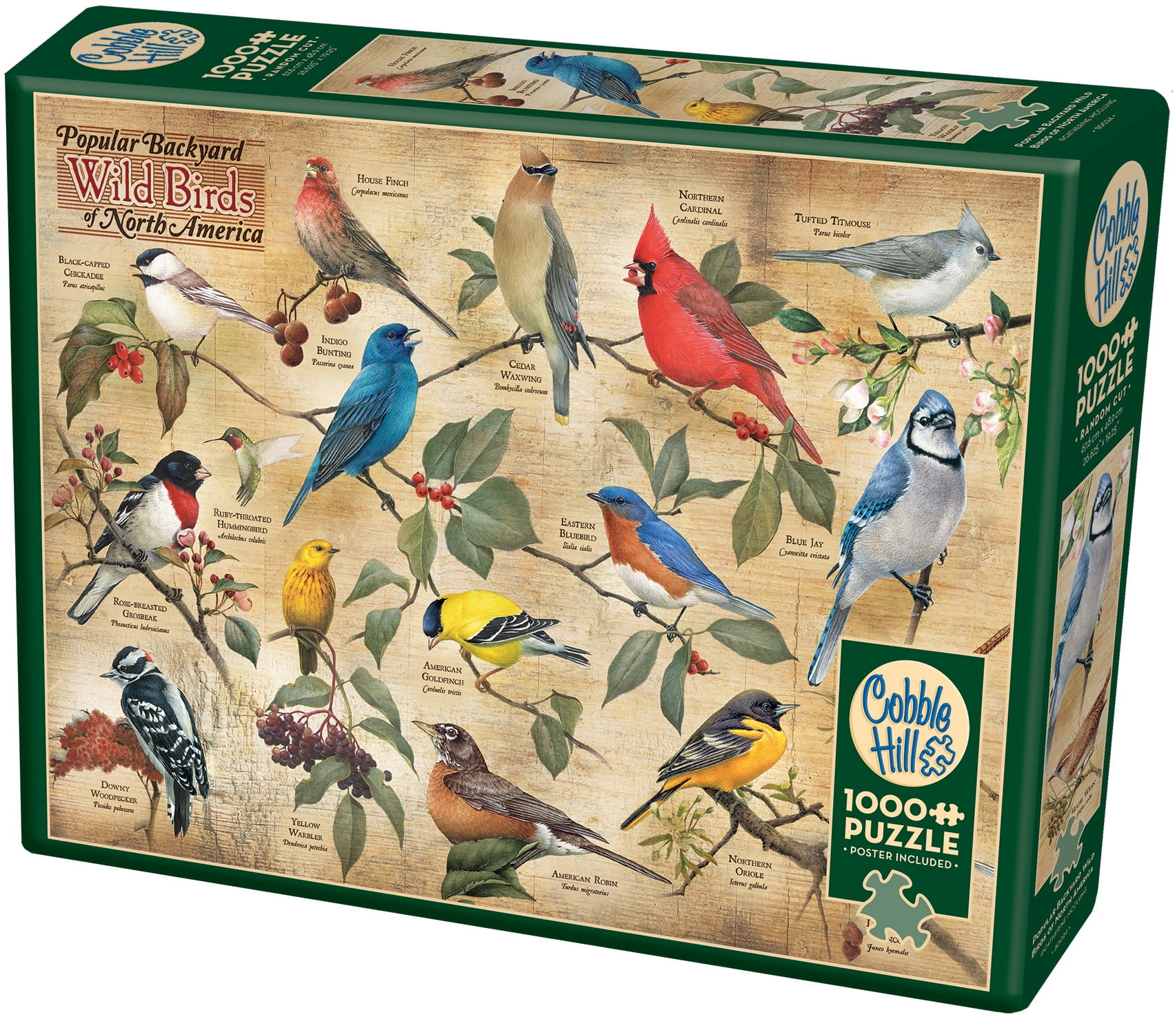 Jigsaw Puzzle 1000 Pieces 26.625"X19.25"-Popular Backyard Birds Of N.a.