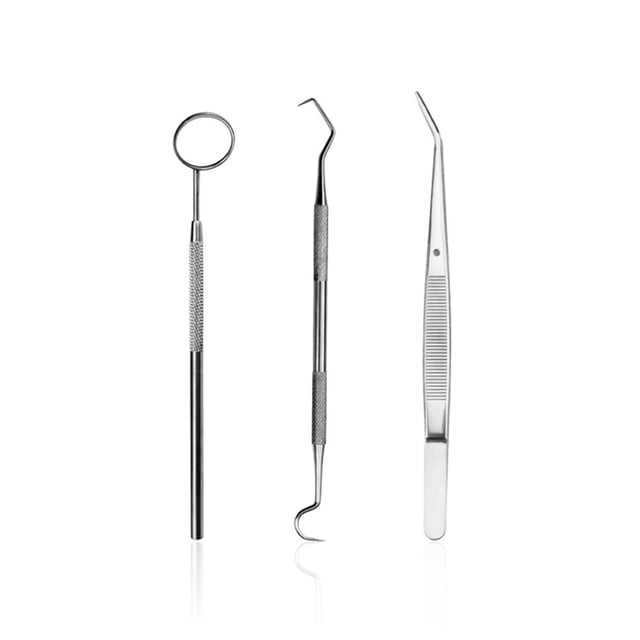 Seitruly Juego de espejos bucales Kit de removedor de placa de acero inoxidable Herramientas de limpieza de portátiles, 3 piezas Type3 NO3