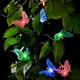 thumbnail image 2 of Advancent Guirnalda de insectos para exteriores, lámpara de decoración alimentada por energía Solar, iluminación de ventana, ambientes festivos, Iluminación navideña Advancent HA067779-01, 2 of 6