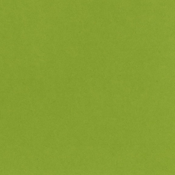 Bazzill Card Shoppe Heavyweight Cardstock 12"X12"-Easter Grass