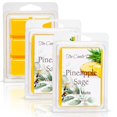 thumbnail image 4 of Pineapple Sage - Tropical Herbal Scented Melt- Maximum Scent Wax Cubes/Melts- 1 Pack -2 Ounces- 6 Cubes, 4 of 5