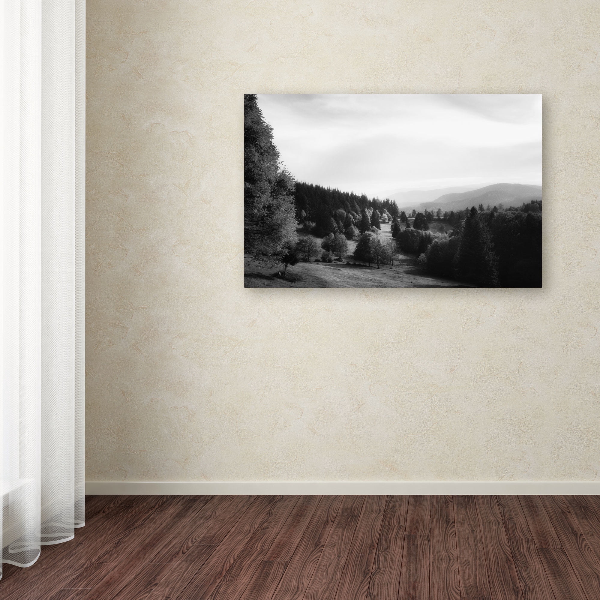 Trademark Fine Art "Spotlight" Canvas Art by Philippe Sainte-Laudy
