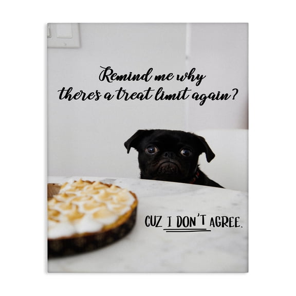 Stupell Industries Contemporary Treat Limit Funny Dog Canvas Art, 16 x 20, by Ziwei Li