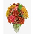thumbnail image 2 of KaBloom : Bountiful Mixed Bouquet Next-Day Delivery, Gift for Every Occasion., 2 of 5