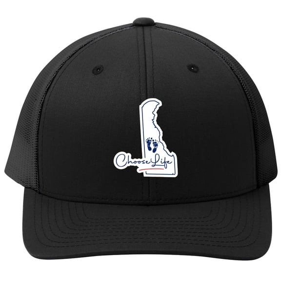 Delaware Embroidered Hat Pro-Life Hat