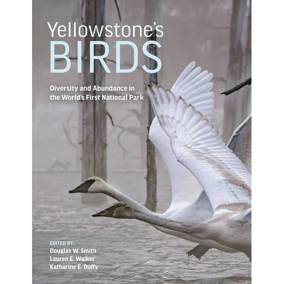 Yellowstone's Birds: Diversity and Abundance in the World's First National Park, (Hardcover)