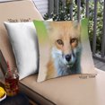 thumbnail image 1 of Ahgly Company Animals Fox Coussin Extérieur, 18 Pouces par 18 Pouces, 1 of 6