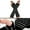 Black Grey, variant on INSPIRE CHIC Women's Arm Warmers Winter Knitted Elbow Long Cosplay Costume Fingerless Gloves Dark Gray