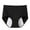 Black, variant on Gunia Plus Size Period Underwear For Women,Plus Size Swimming Trunks Leak Proof 4 Layer High Flow Mesh Fast Water Absorption Oversized Breathable Period Panties Women,Xxxl