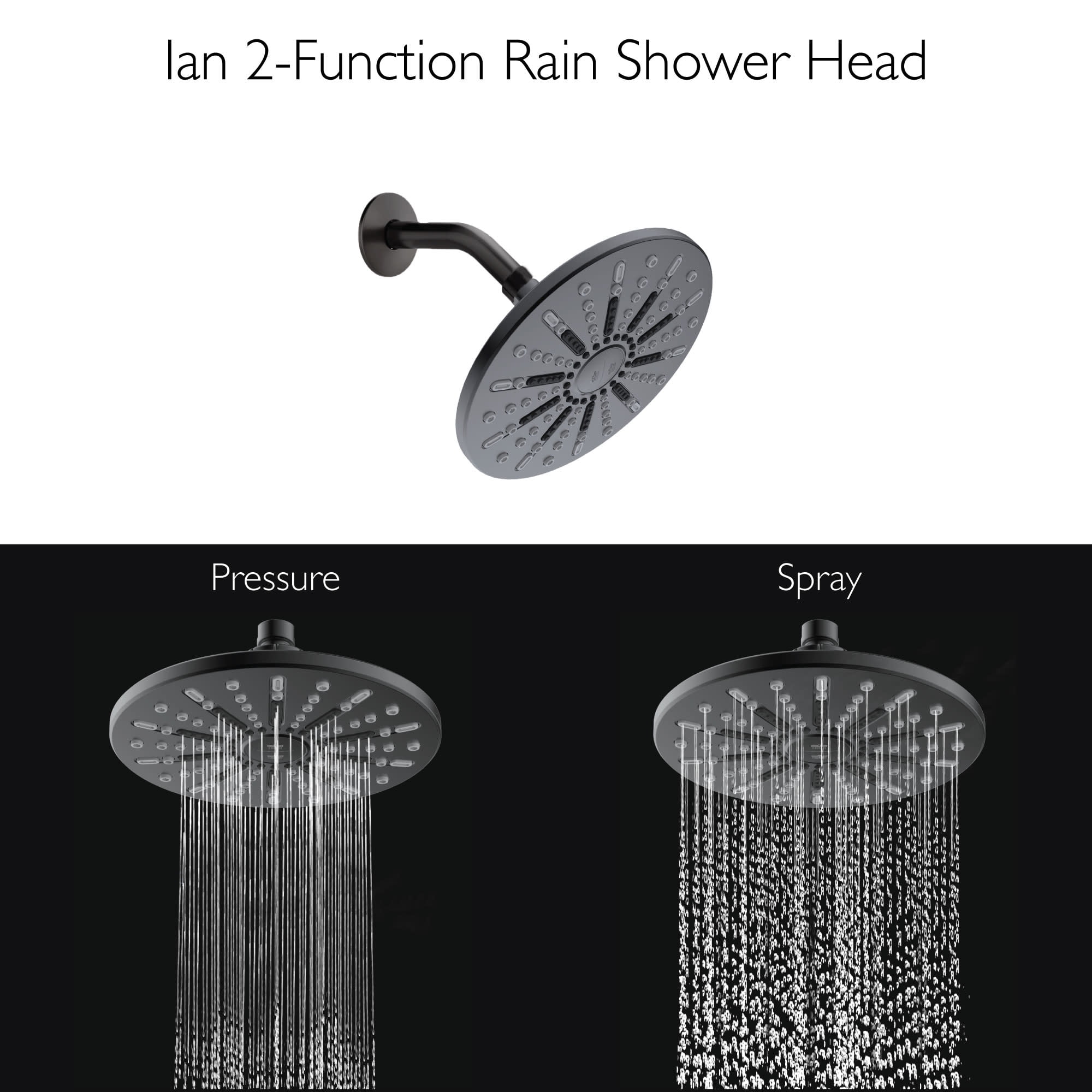 Design House 582718-BLK Ian Modern 8-inch 2-Function Showerhead, Matte Black