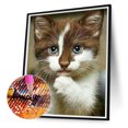 thumbnail image 2 of Cuadros Decorativos Kits de pintura de diamantes DIY 5D de gato corto inglés decoración de taladro redondo completo (NH2680) Likrtyny embutido en tela, 2 of 8