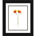 thumbnail image 1 of Shefranov, Olga 20x24 Black Ornate Wood Framed with Double Matting Museum Art Print Titled - Poppy II, 1 of 4