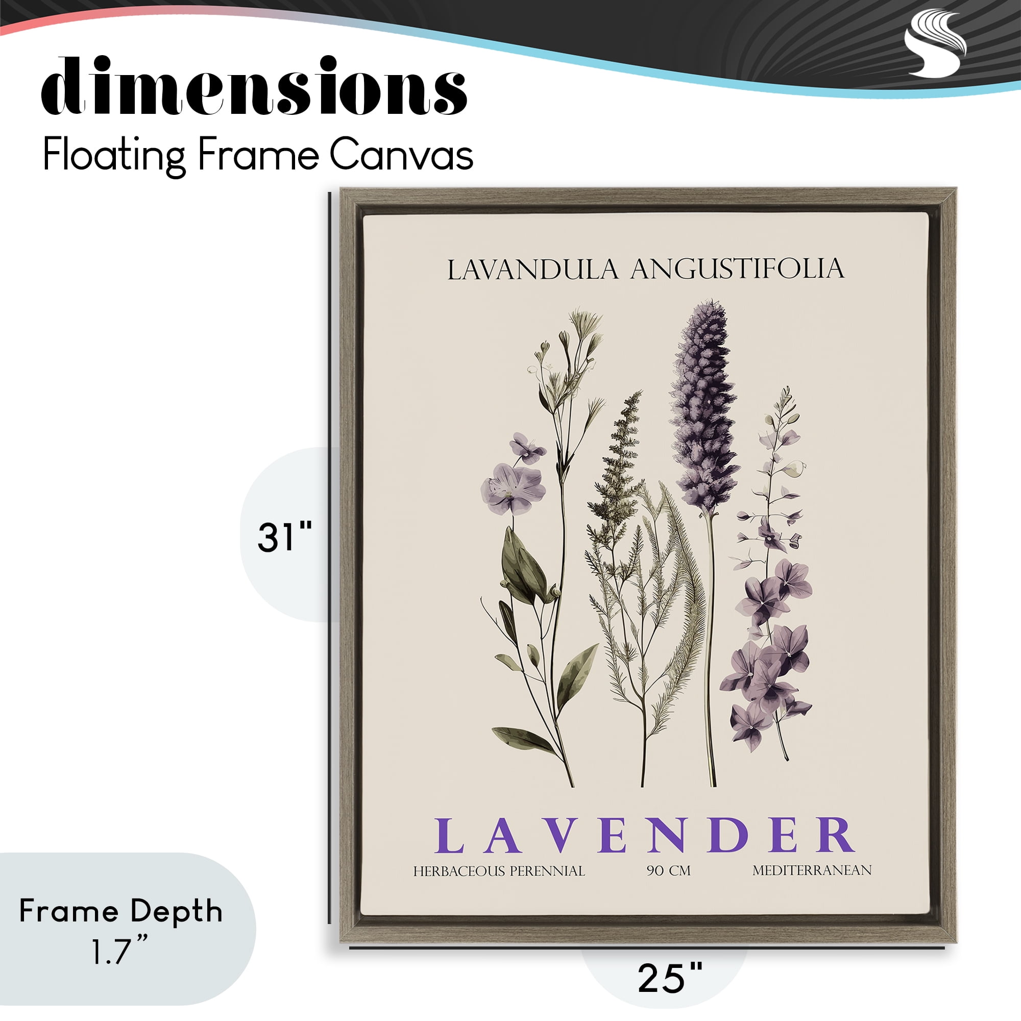 Stupell Industries Natural Lavender Bundle Brown Framed Floater Canvas Wall Art, design by Christopher Giampietro