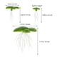 thumbnail image 2 of UPGRATOR Para De Peces Con Plásticas Flotantes Y Hábitat, 2 of 8