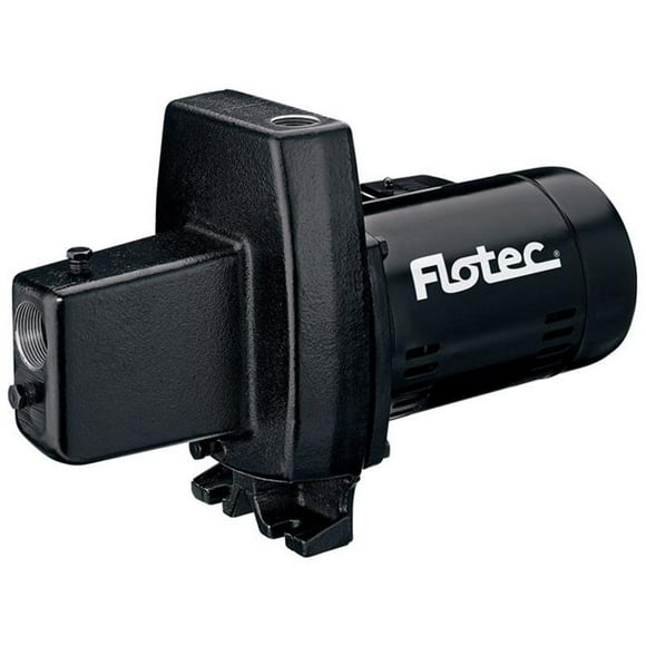 Flotec 4196333 Pompe à Jet Peu Profonde en Fonte, 0.75 HP - Débit Maximum 14.7
