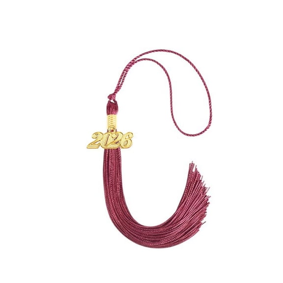 2026 Graduation Tassel 9 Inch Long with Charms Tags Class of 2026 Grad Tassel for Cap Decorations High School College Master Graduate Ceremonies Accessories
