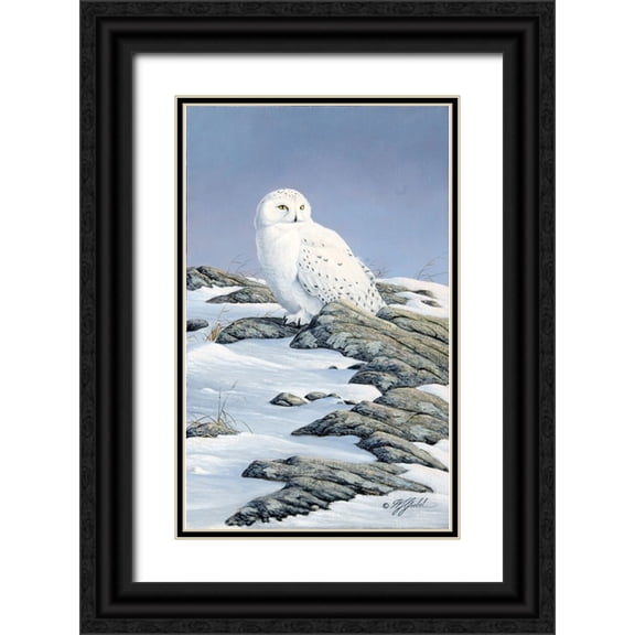 Goebel, Wilhelm 10x14 Black Ornate Wood Framed with Double Matting Museum Art Print Titled - Snowy Owl