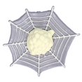 thumbnail image 3 of Spider Animal Life Cycle Insect Growth Cycle Model Simulation Children Kids Educational Toy, 3 of 4