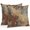 Peru, variant on Throw Pillow Covers 20x20 Inch Set of 2, Brown Gray Waterproof Outdoor Pillow Covers, Rustic Abstract Gradient Mottled Texture Decorative Cushion Pillowcases for Couch, Sofa, Bed, Garden, Patio